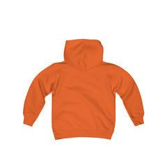 Youth Hoodie Sweatshirt Play Fair Dream Big